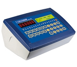 汽车衡仪表：IPE100